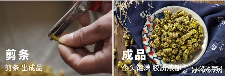 石斛新鲜的能保存多久