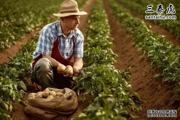 ����ũ��