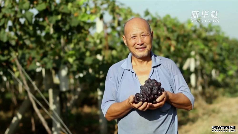 邑:葡萄香甜醉秦岭