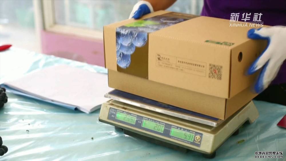 邑:葡萄香甜醉秦岭